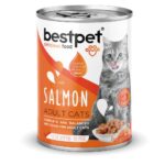 Best Pet 400gm can with salmon flavor for adult cats