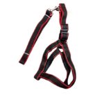 Chest harness - for medium size dogs