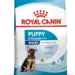 ROYAL CANIN maxi puppy dry 4kg