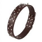 Dog collar with spikes