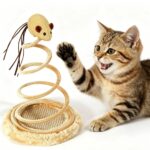 Movable spring mouse toy with scratcher