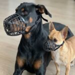 Dog Muzzle