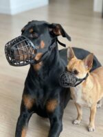 Dog Muzzle