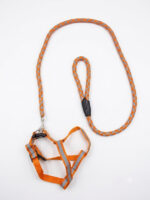 Ultra reflective small breed dog harness - Image 3
