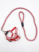 Ultra reflective small breed dog harness - Image 4