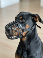Dog Muzzle - Image 3
