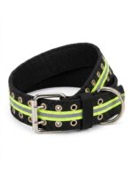Adjustable collar - Image 2