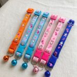 Cat Collar with bell